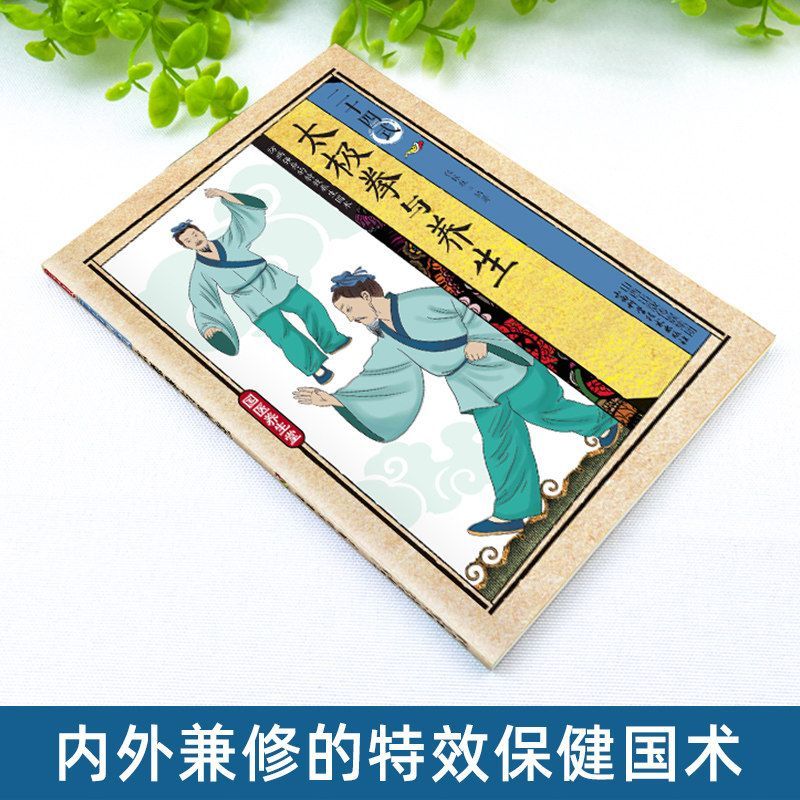 24種類の太極拳と健康体操の図解アクションテクニック Lib - Health & Wellness Newsletter のレビューと価格