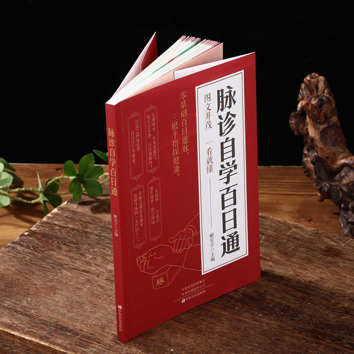 脈診独学百日合格、伝統中国医学入門独学健康書 - Health & Wellness Newsletter のレビューと価格
