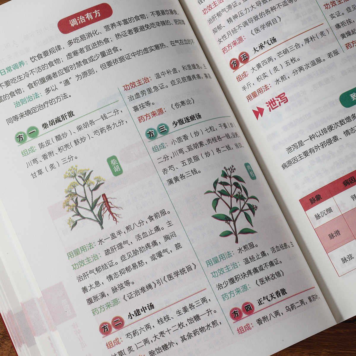 脈診独学百日合格、伝統中国医学入門独学健康書 - Health & Wellness Newsletter のレビューと価格